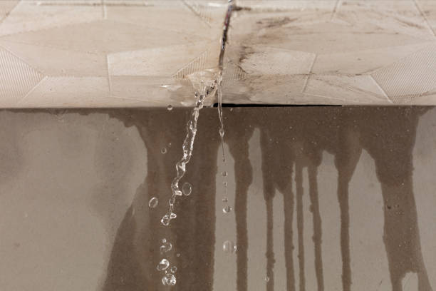 Professional Structural Drying technician working in Lecompton, KS
